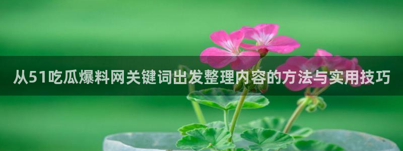 吃瓜视频