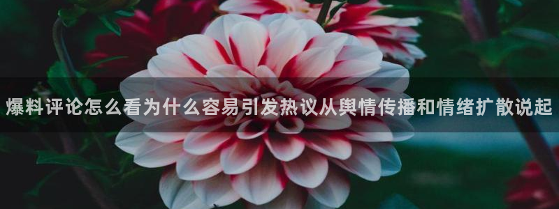 51吃瓜网轻量版