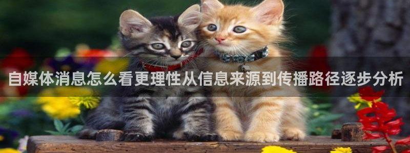 51吃瓜在线观看