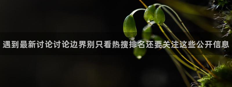 51吃瓜玩偶姐姐:遇到最新讨论讨论边界别只看热搜排名还要关注这些公开信息